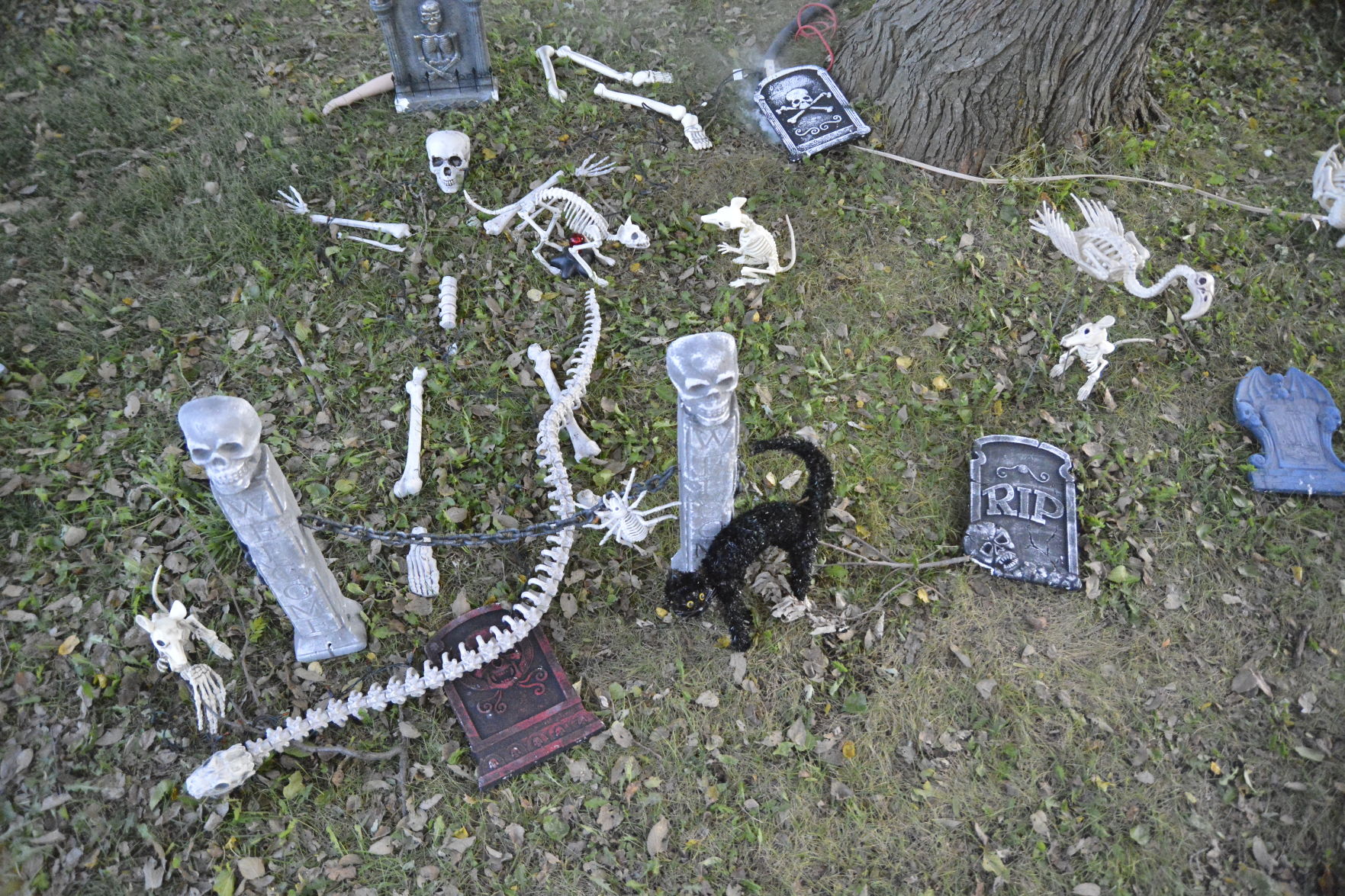 10-11-19 Stuhr All Hollows Eve (62).JPG
